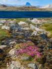 Drygalski Peninsula, icebergs in the Uummannaq Fjord System, northwest Greenland. Art Print
